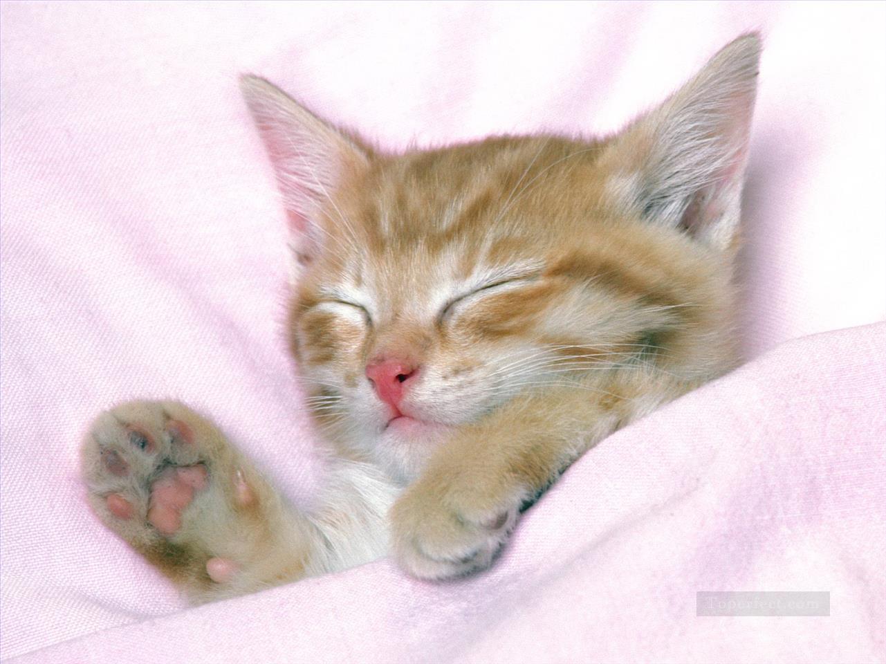 ベッドで眠そうな猫油絵